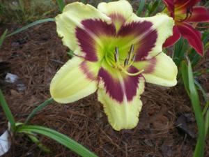 HEAVENLY DARK MATTER